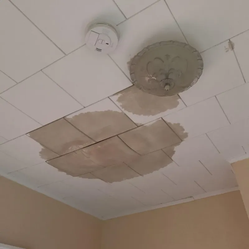Ceiling Water Damage Repair in Lake Park, IA