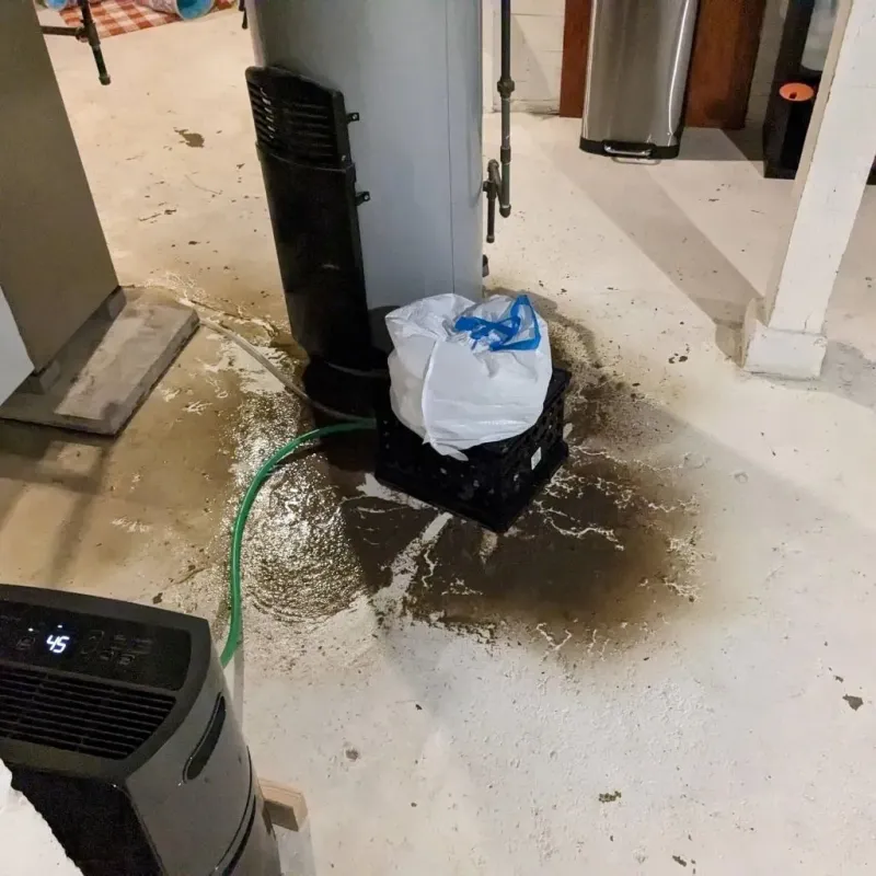 Sewage Backup Cleanup Service in Lake Park, IA